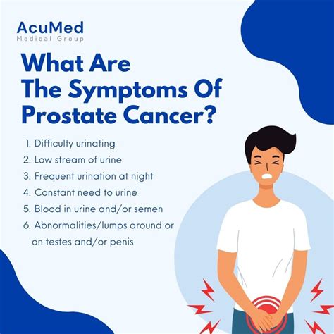 Prostate Cancer: All You Need To Know .